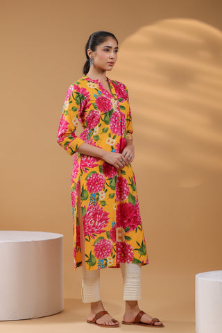 Handloom cotton kurta
